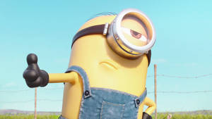 黃色Minion在有鐵絲網圍欄的田野裡豎起大拇指。