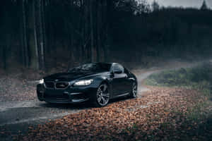 秋霧中，黑色BMW M6轎跑車行駛在鋪滿落葉的森林道路上。 — MacBook Air M4 壁紙
