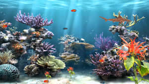 充滿活力的珊瑚礁，色彩繽紛的魚群在陽光照耀的海水下游泳。