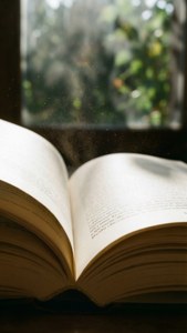 一本打開的書沐浴在陽光中，窗邊漂浮著灰塵微粒，顯示綠色植物