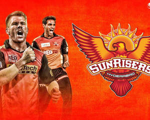 兩名板球運動員與Sunrisers Hyderabad球隊標誌一起慶祝勝利。