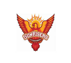 SunRisers Hyderabad 體育隊伍標誌，特色是一隻從太陽升起的火鳳凰。
