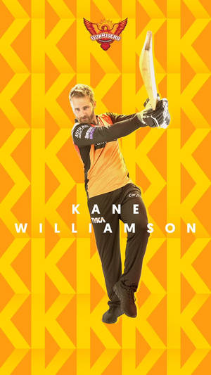 板球運動員Kane Williamson身穿球隊制服擺出動作姿勢。