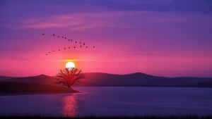 一棵孤樹在湖岸邊夕陽下，鳥兒在紫色粉紅色天空中飛翔