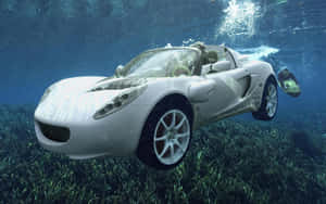 白色跑車沉入海洋，有潛水員和海草