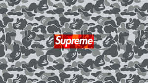 紅色Supreme標誌在灰色迷彩背景上，帶有猿頭圖案。