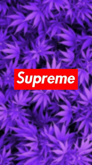 紫色大麻葉，中央有紅色Supreme標誌。