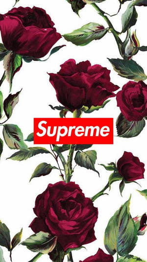 深紅玫瑰配綠葉環繞白色背景上的紅色Supreme標誌。