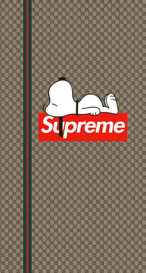 史努比躺喺紅色Supreme標誌上面，背景係Gucci圖案。