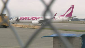 鐵絲網圍欄後的停機坪上的Swoop飛機與地勤車輛