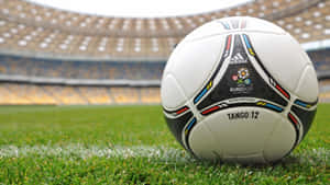 官方 Euro 2012 足球在體育館的草地上。 — 足球 壁紙