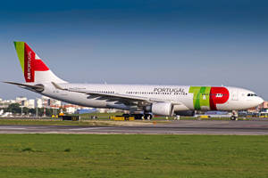 Air Portugal飛機在機場停機坪上，帶有綠色、紅色和白色塗裝