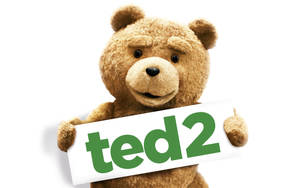 毛茸茸的棕色泰迪熊拿著一個白色牌子，上面用綠色字母寫著 ted2。