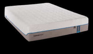 Tempur Pedic 慢回彈床墊特寫