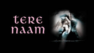 兩個痛苦的戀人隔著鐵絲網緊貼在一起，帶有粉紅色文字 tere naam。