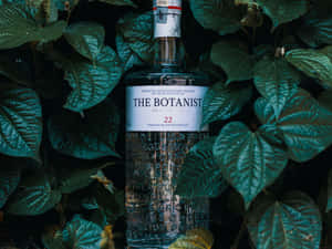 Botanist 氈酒瓶被濃密的綠色樹葉包圍，光線昏暗。