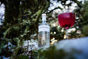 冬季森林積雪苔蘚上的氈酒瓶和雞尾酒杯。