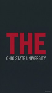 粗體紅色 THE 文字位於灰色俄亥俄州立大學文字上方，深灰色背景