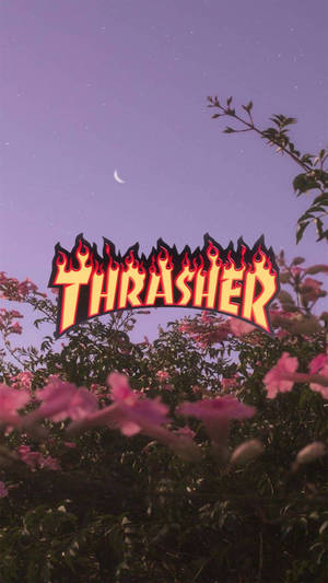 Thrasher 標誌帶有火焰設計，以黃昏天空和粉紅色花朵為背景。