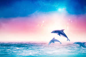 三隻海豚在色彩繽紛的星空下從海洋中跳出。