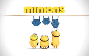 三個黃色迷你兵團凝視著掛在MINIONS字樣下方的牛仔工人褲。