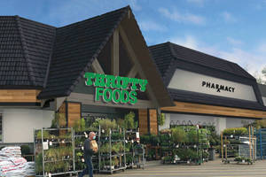 戴口罩男子走過Thrifty Foods雜貨店外盆栽植物，設有藥房。