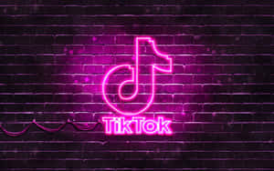夜間濕磚牆上的粉紅色霓虹燈TikTok標誌。