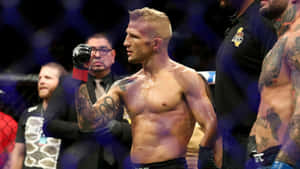 一個有紋身的勝利MMA拳手在比賽後舉起戴手套的拳頭。