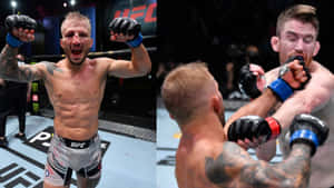 兩名男性MMA拳手在UFC八角籠中，一人慶祝勝利，另一人出拳。