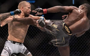 籠中的兩名MMA拳手，一人踢向另一人，後者擋住攻擊。