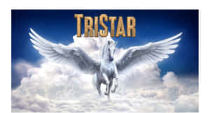白色有翼馬在雲層上翱翔，帶有金色的「TRISTAR」文字。