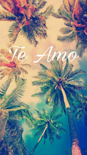 棕櫚樹框住天空，上面有白色字體的「Te Amo」文字。 — 棕櫚樹 GIF 壁紙