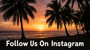 棕櫚樹剪影映襯著橙色日落，海洋上方有文字寫著「在 Instagram 上關注我們」