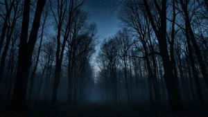 在繁星夜空下，霧林中的樹木剪影