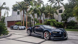 兩輛Bugatti超跑停泊在瓷磚車道上，背景有棕櫚樹和現代房屋。 — 布加迪 壁紙