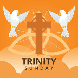 兩隻白鴿在十字架和凱爾特結兩側，背景為橙色，並帶有「TRINITY SUNDAY」文字。 — 白鴿 壁紙