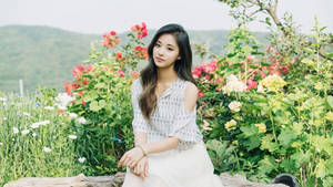身穿白色連衣裙的年輕女子坐在花園中盛開的玫瑰叢中。