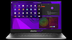 筆記型電腦顯示 Ubuntu Unity 桌面，帶有紫色背景和終端機視窗。
