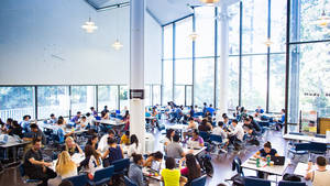 學生在寬敞的現代化圖書館裡，在大窗戶旁使用筆記型電腦工作。