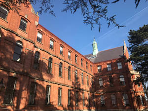藍天下帶有拱形窗戶和綠色圓頂的紅磚大學建築。