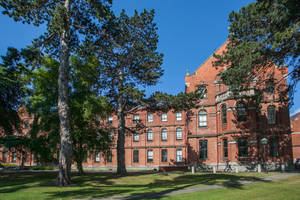 紅磚大學建築，樹木和草地，明亮的藍天