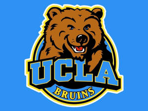 UCLA Bruins 標誌，包含一隻微笑的棕色熊吉祥物。