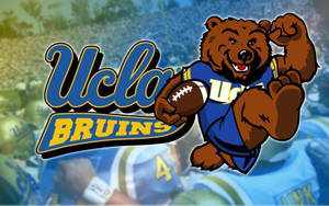 UCLA Bruins 吉祥物卡通熊穿著藍色和金色制服拿著足球。