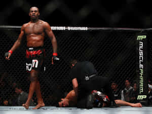 MMA拳手在八角籠中擊倒對手後勝利站立