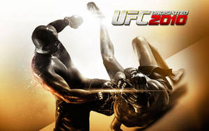 兩位 MMA 拳手以空中戰鬥姿勢為 UFC Undisputed 2010 遊戲封面擺拍。