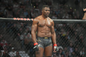 一位穿著UFC短褲和手套的肌肉發達MMA拳手，在比賽中站在八角籠內。
