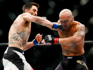兩名MMA拳手在八角籠內互相出拳。