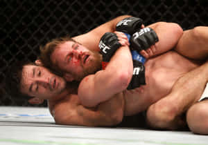 兩名男性MMA拳手在UFC八角籠內的比賽中被鎖喉鎖住。 — 冠軍 壁紙