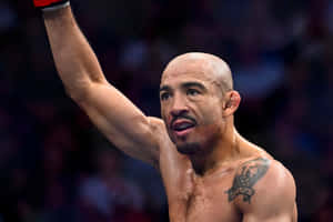 一位勝利的MMA拳擊手在擂台上舉起拳頭。 — 搏擊會 GIF 壁紙