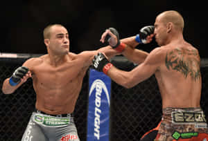 兩名戴著MMA手套的男性拳手在八角形鐵籠內互相出拳。